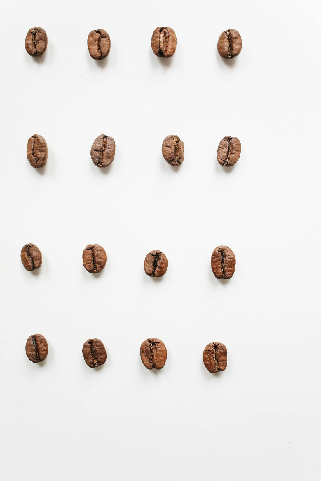 Arabica vs robusta : comprendre les différences