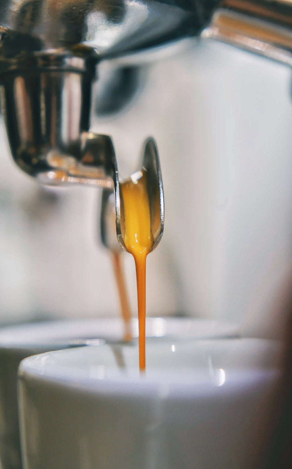 Extraction en expresso du Blend GUS n°25 dans une tasse blanche ronde. 