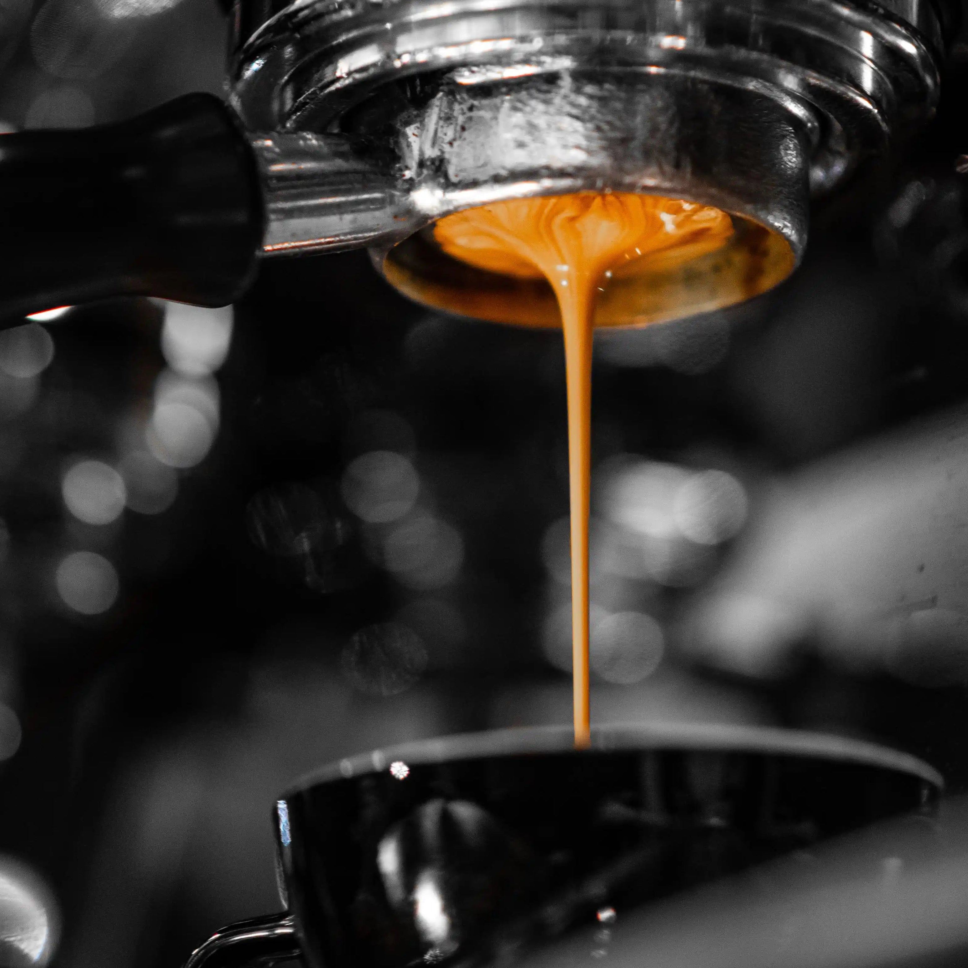 Photo de l'extraction "bottomless" en expresso du café brésilien GUS.