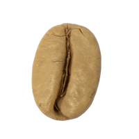grain café