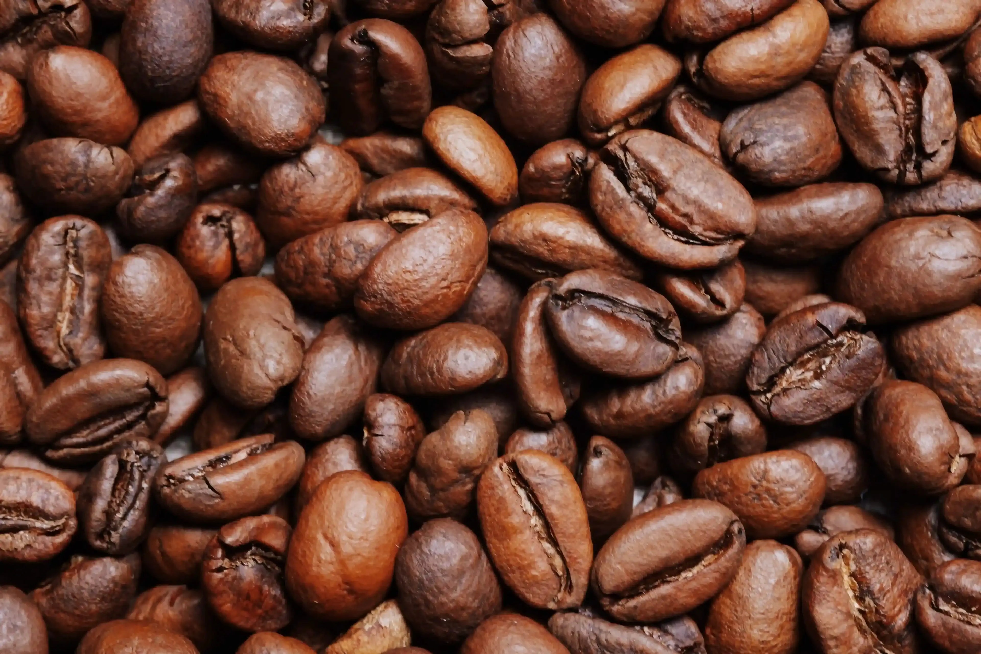 Photo des grains de café torréfiés du Blend GUS N°10.