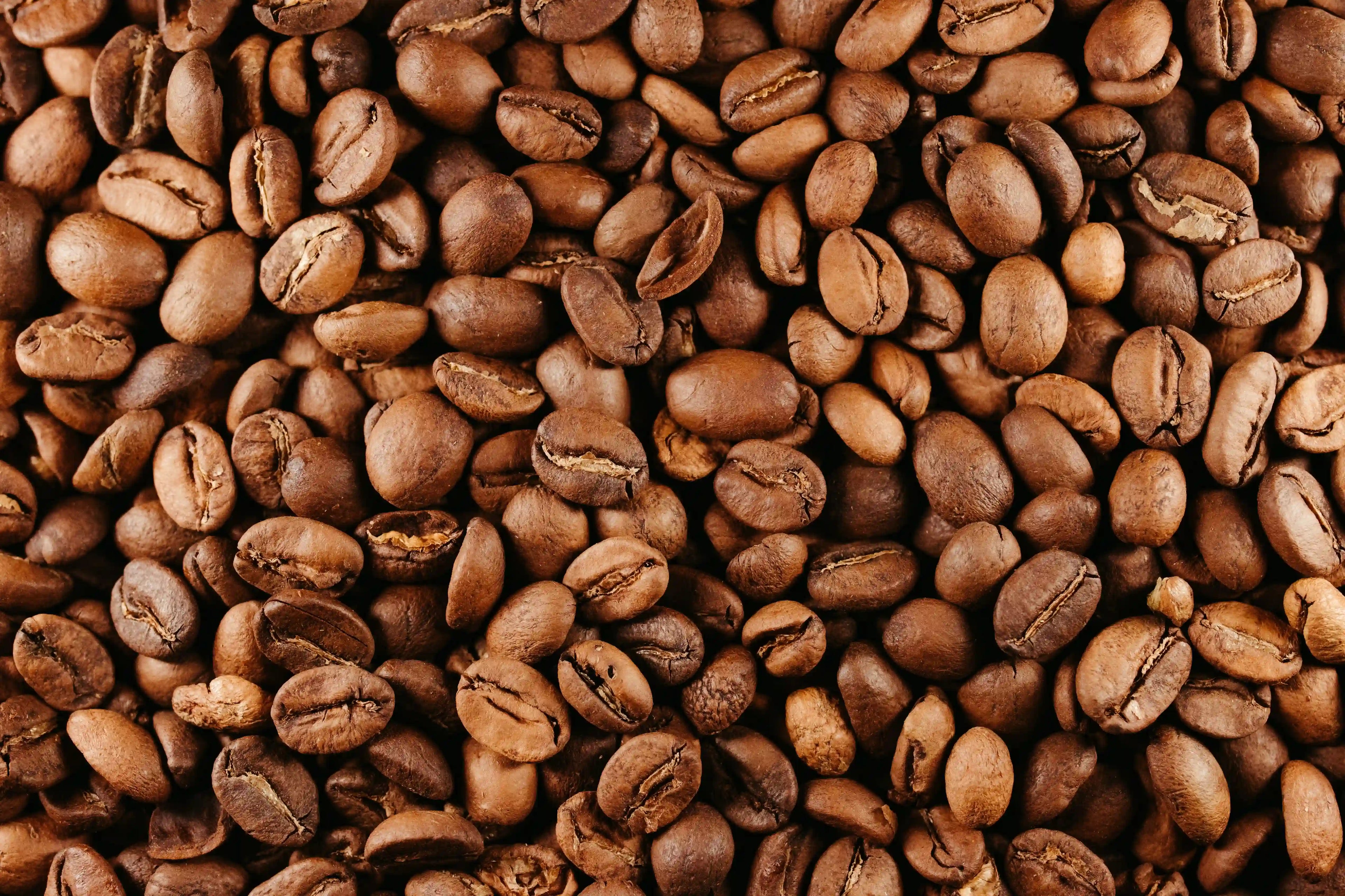 Photo des grains de café torréfiés du Blend GUS n°19.
