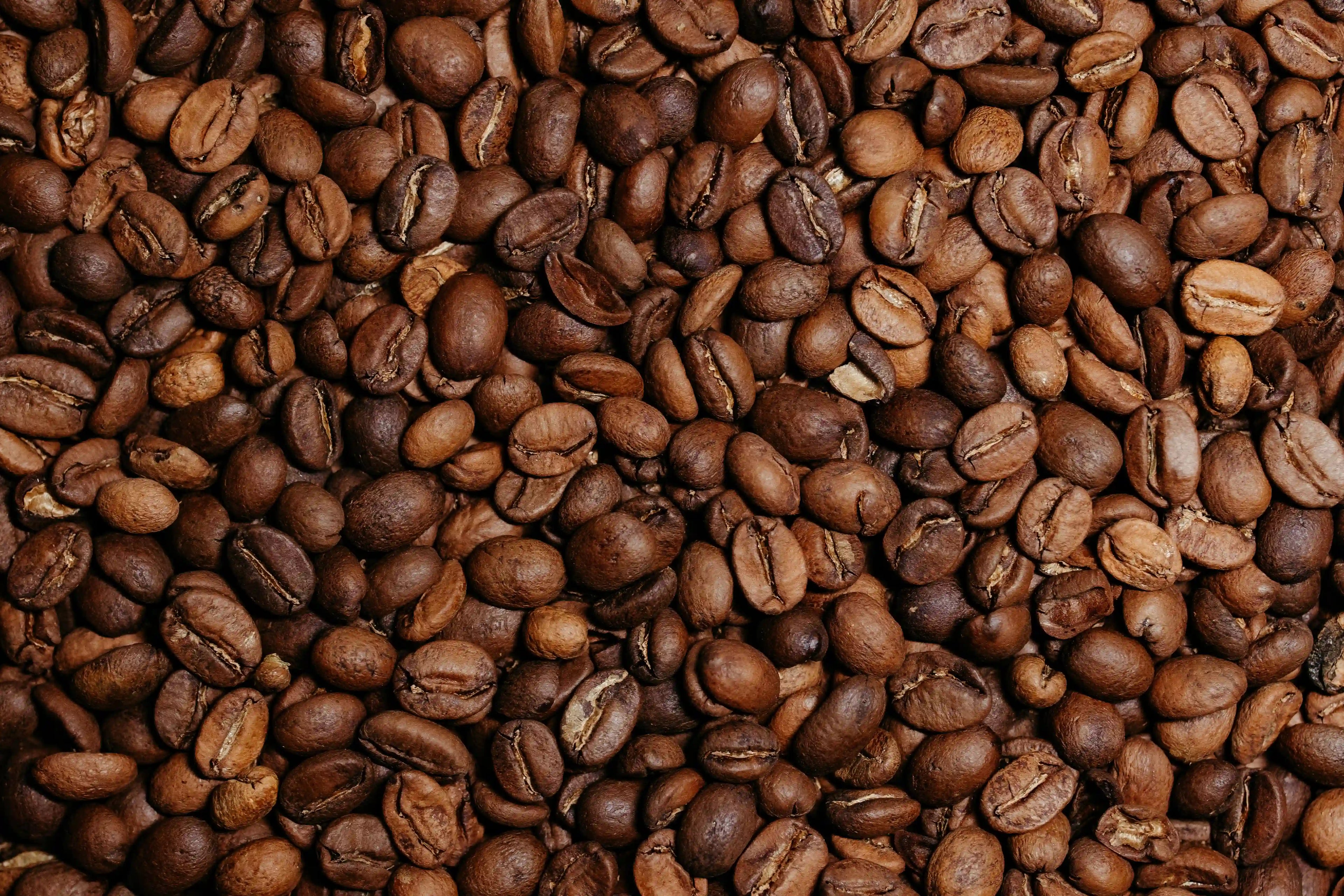 Décaféiné - 500g