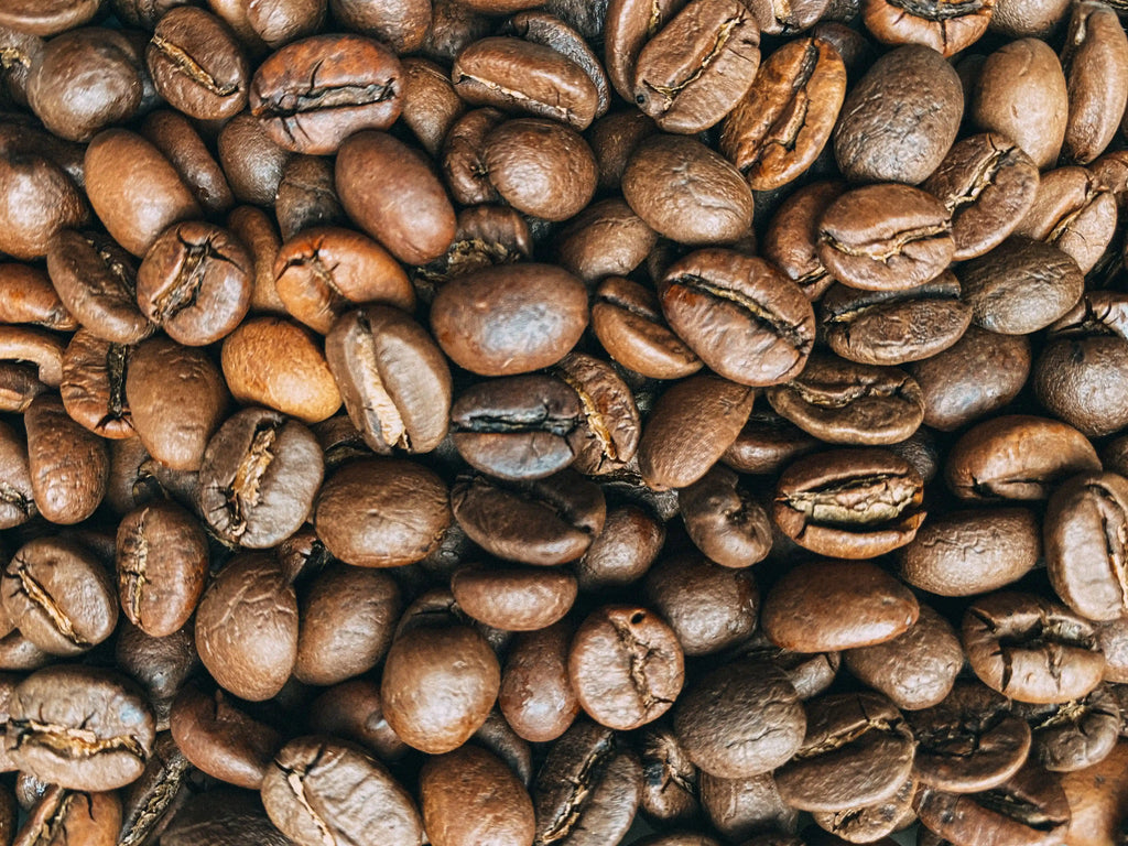 Photo des grains de café du Guatemala, torréfiés selon la méthode et recette GUS.