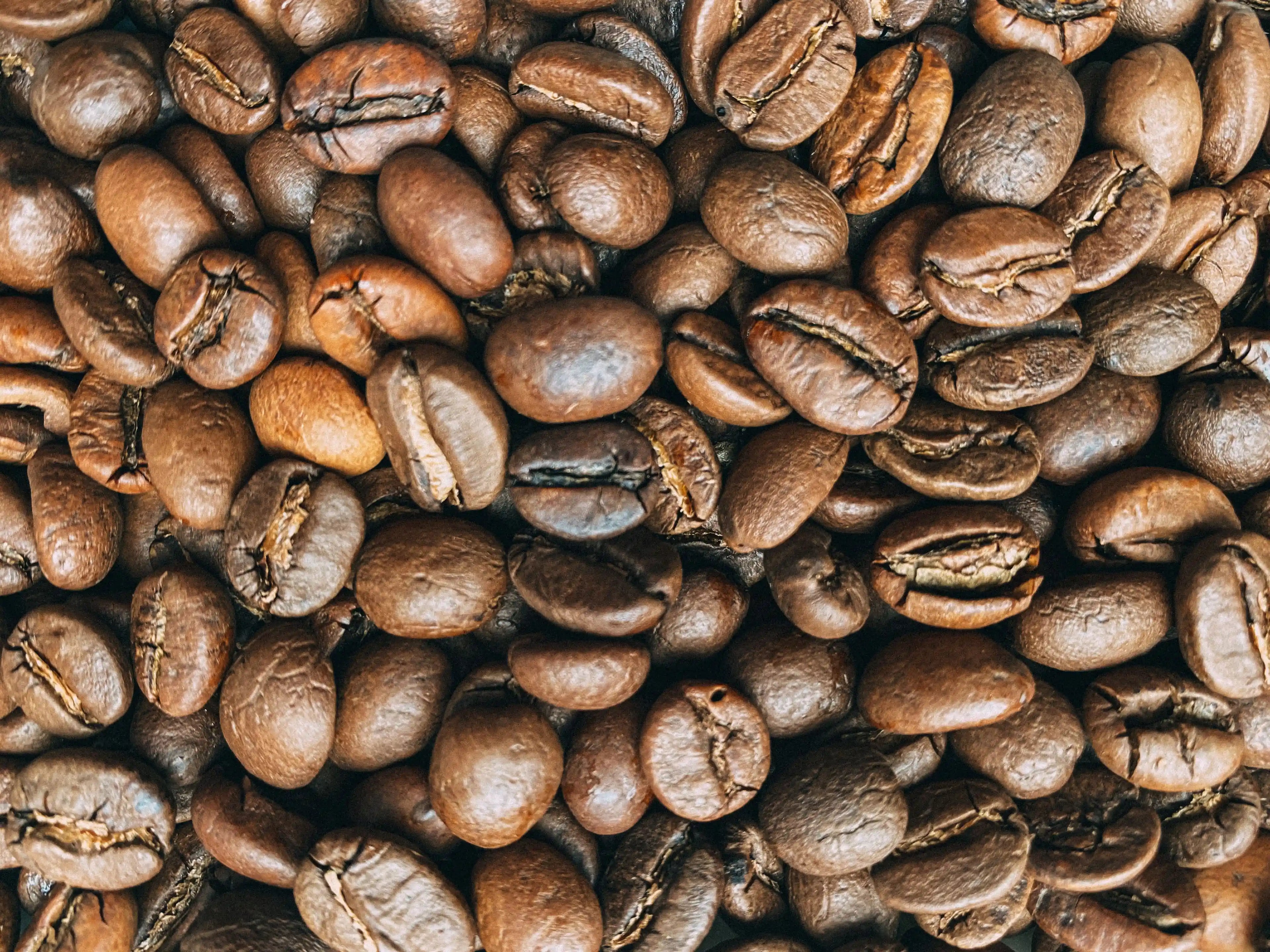 Photo des grains de café du Guatemala, torréfiés selon la méthode et recette GUS.