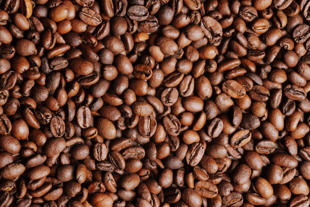 Photo des grains de café du Kenya, torréfiés selon la méthode et recette GUS.