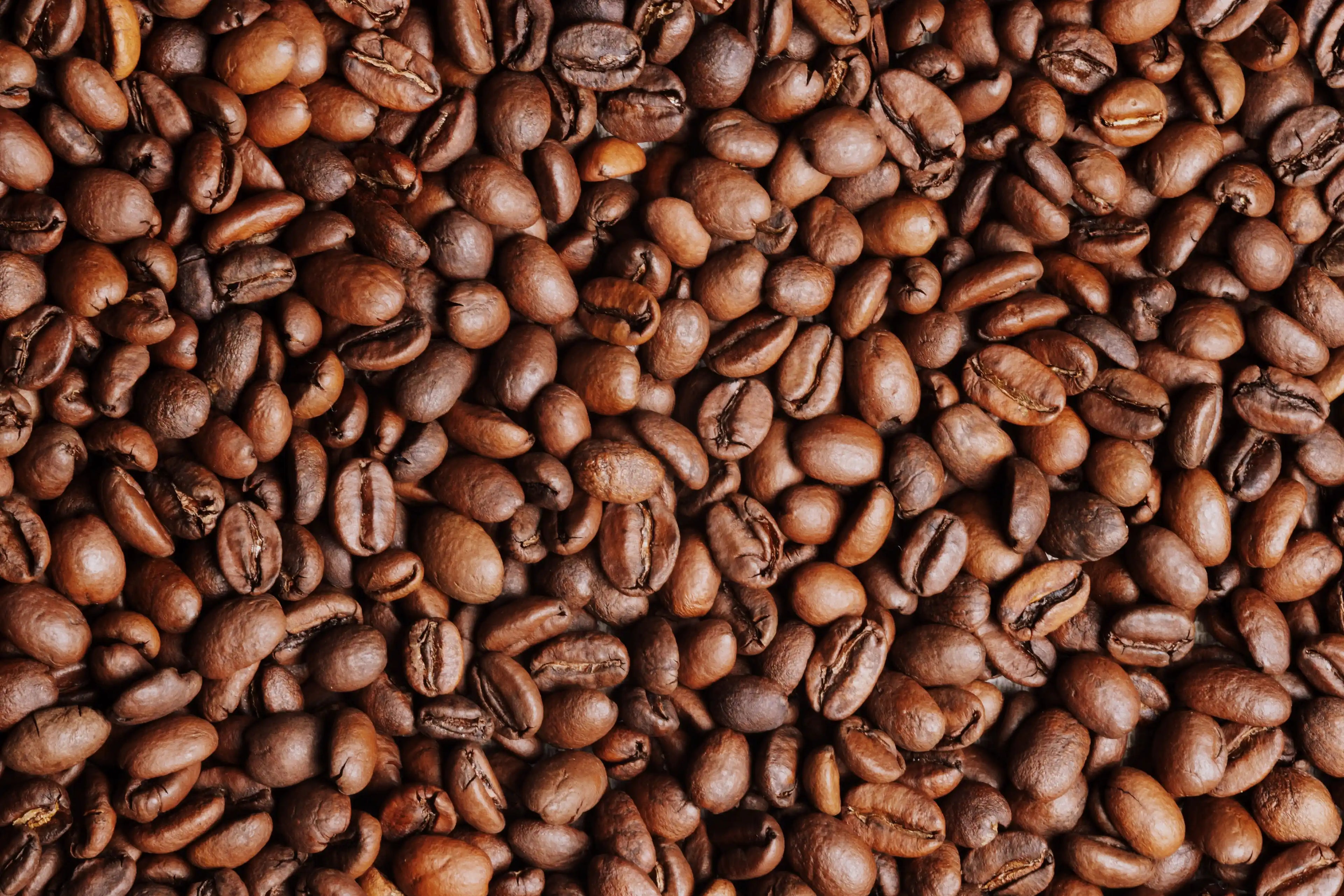 Photo des grains de café du Kenya, torréfiés selon la méthode et recette GUS.