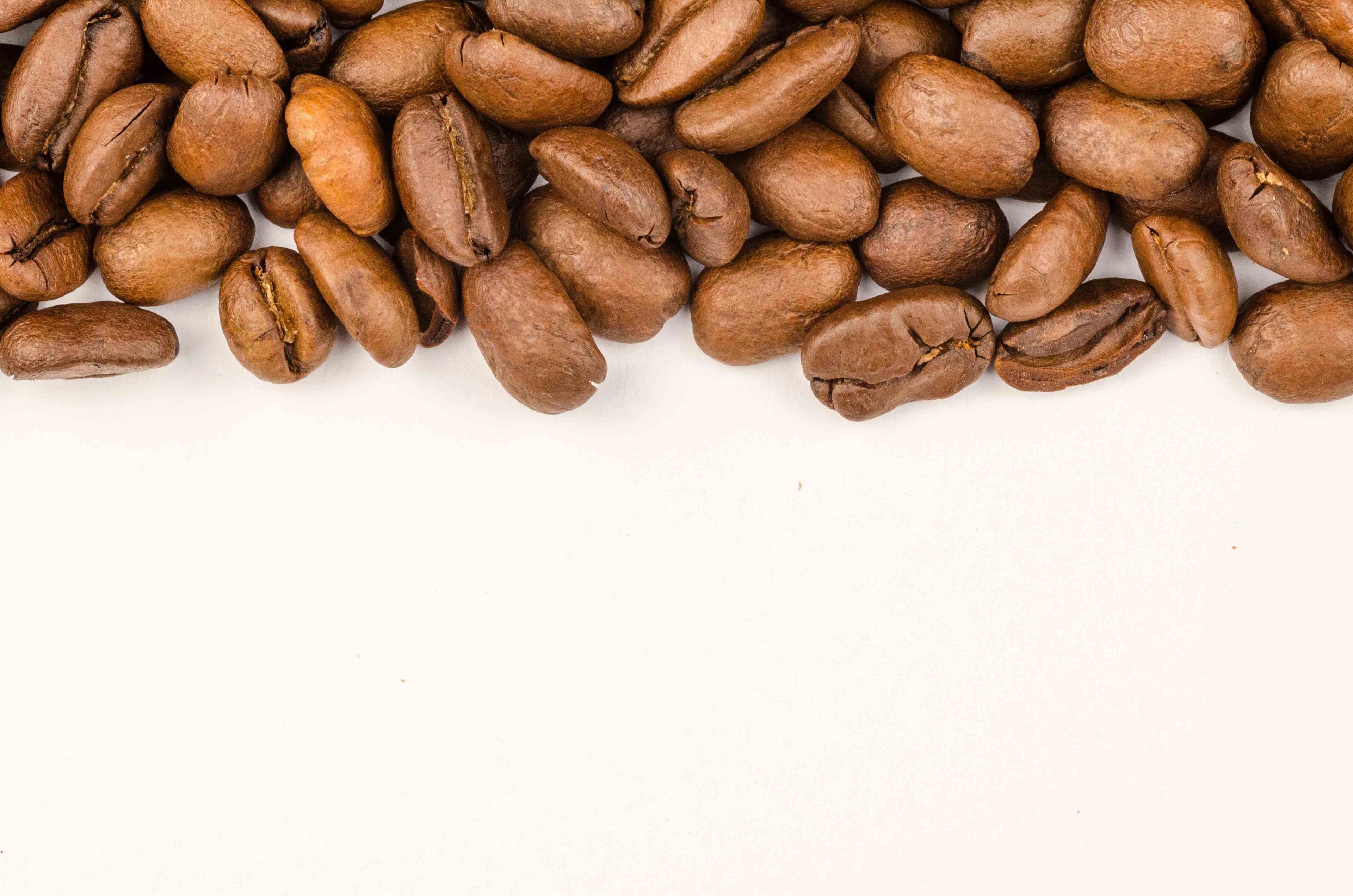 Gros plan sur une rangée de grains de café torréfiés alignés sur un fond blanc épuré, créant une bordure naturelle en haut de l'image.