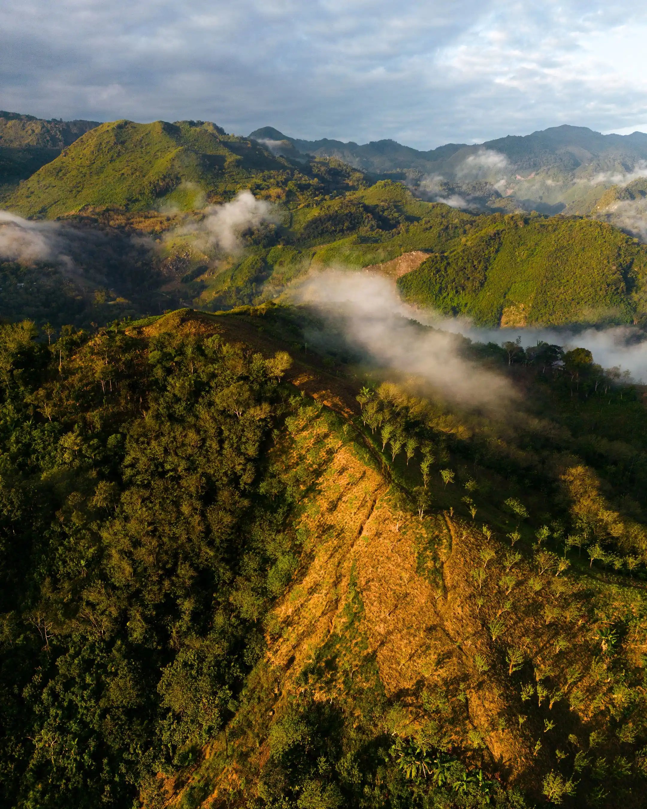 Photo des paysages sur les hauts plateaux du Guatemala.