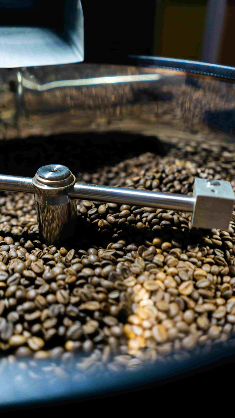Photo cerises de café