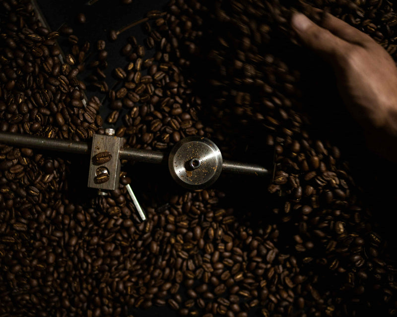 Photo cerises de café